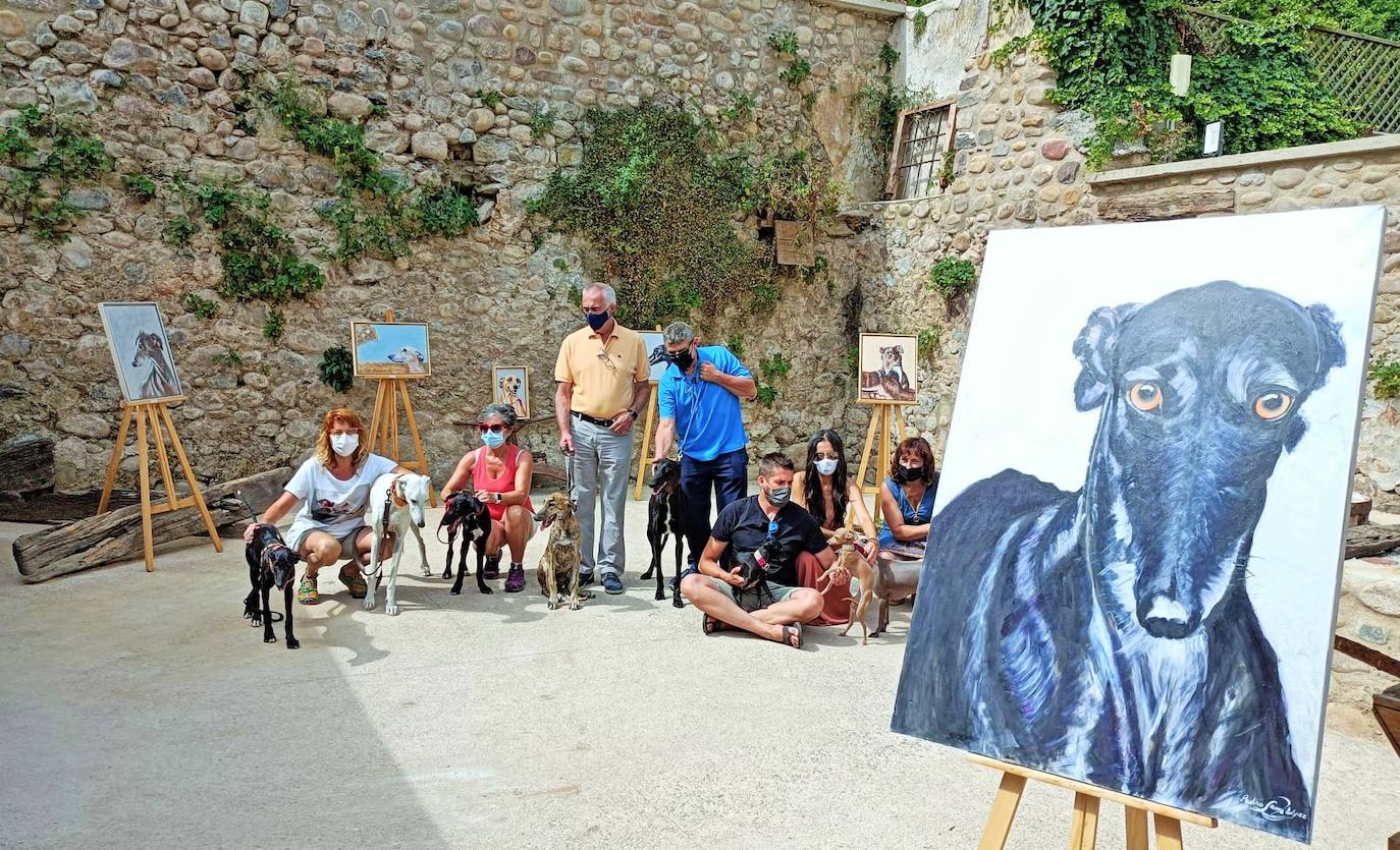 Fotos: Jornadas del Noble Galgo Cervantino