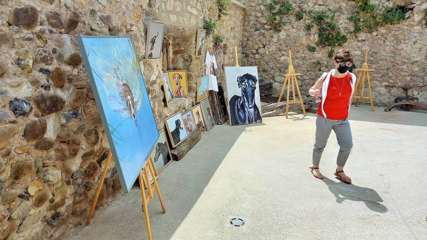 Fotos: Jornadas del Noble Galgo Cervantino