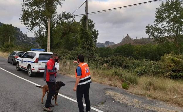 El vehículo ha aparecido en la N-124.