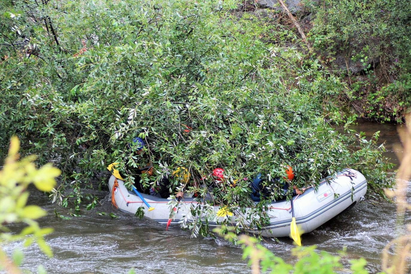 Más de un centenar de personas han participado en el descenso del río. 