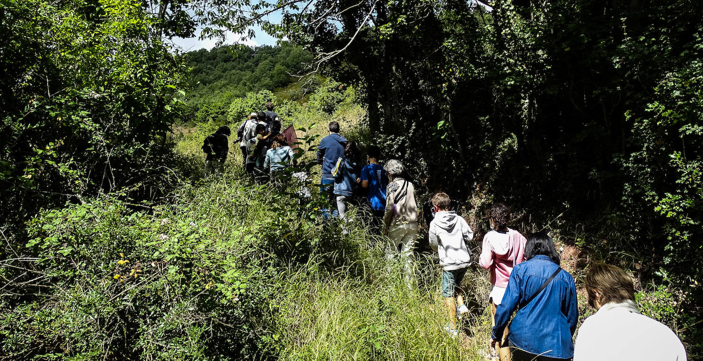 La Asociación Benéfico Cultural de Nieva de Cameros y la Asociación por el Medio Ambiente Rural en La Rioja han celebrado dos jornadas con el título 'Conociendo las mariposas'. Primero se celebró una en la aldea Montemediano, donde se lograron identificar fácilmente diecinueve especies el pasado 18 de julio, y después, el domingo 1 de agosto, se catalogaron una veintena de mariposas en Nieva, algunas tan singulares como la tigre.