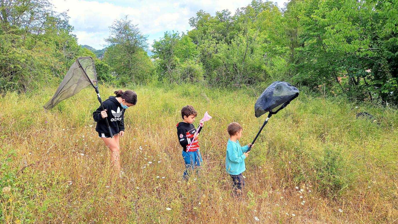 La Asociación Benéfico Cultural de Nieva de Cameros y la Asociación por el Medio Ambiente Rural en La Rioja han celebrado dos jornadas con el título 'Conociendo las mariposas'. Primero se celebró una en la aldea Montemediano, donde se lograron identificar fácilmente diecinueve especies el pasado 18 de julio, y después, el domingo 1 de agosto, se catalogaron una veintena de mariposas en Nieva, algunas tan singulares como la tigre.