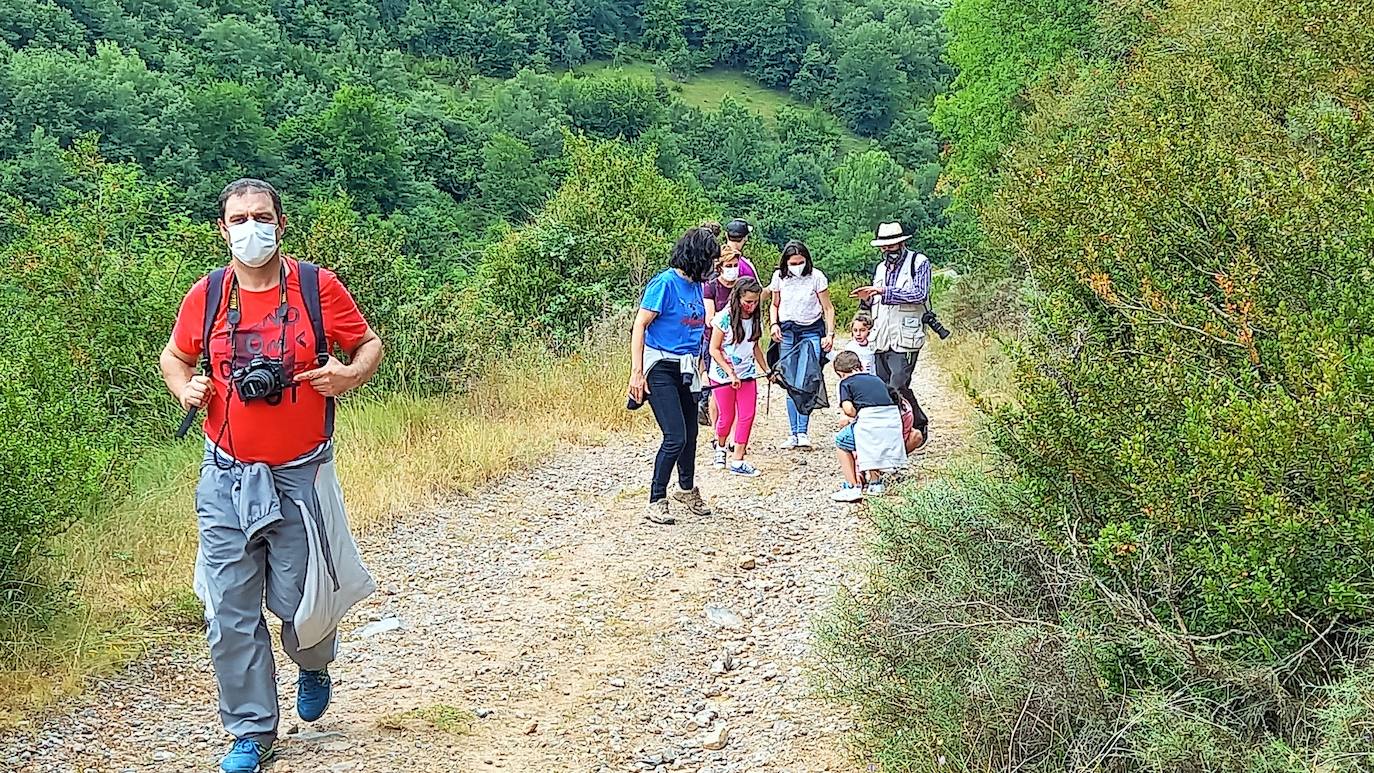 La Asociación Benéfico Cultural de Nieva de Cameros y la Asociación por el Medio Ambiente Rural en La Rioja han celebrado dos jornadas con el título 'Conociendo las mariposas'. Primero se celebró una en la aldea Montemediano, donde se lograron identificar fácilmente diecinueve especies el pasado 18 de julio, y después, el domingo 1 de agosto, se catalogaron una veintena de mariposas en Nieva, algunas tan singulares como la tigre.