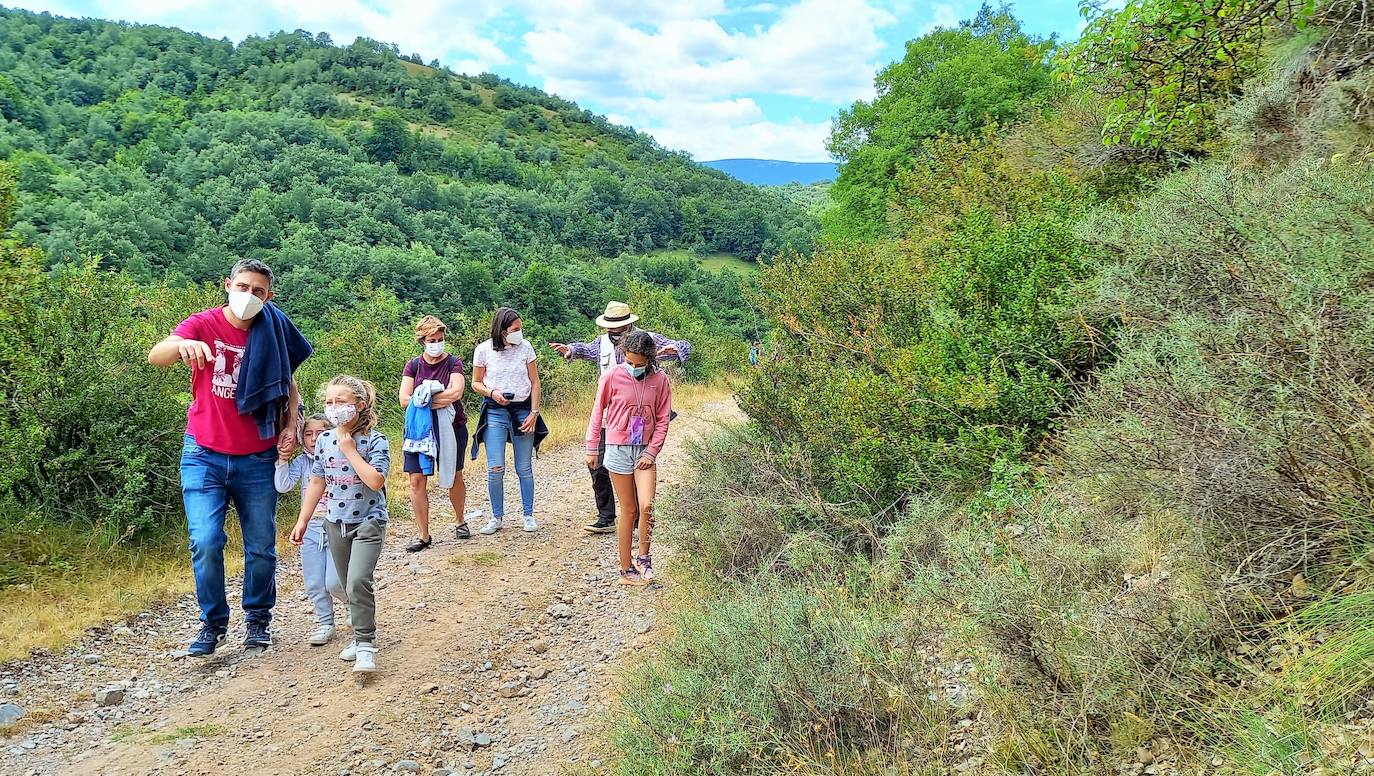 La Asociación Benéfico Cultural de Nieva de Cameros y la Asociación por el Medio Ambiente Rural en La Rioja han celebrado dos jornadas con el título 'Conociendo las mariposas'. Primero se celebró una en la aldea Montemediano, donde se lograron identificar fácilmente diecinueve especies el pasado 18 de julio, y después, el domingo 1 de agosto, se catalogaron una veintena de mariposas en Nieva, algunas tan singulares como la tigre.