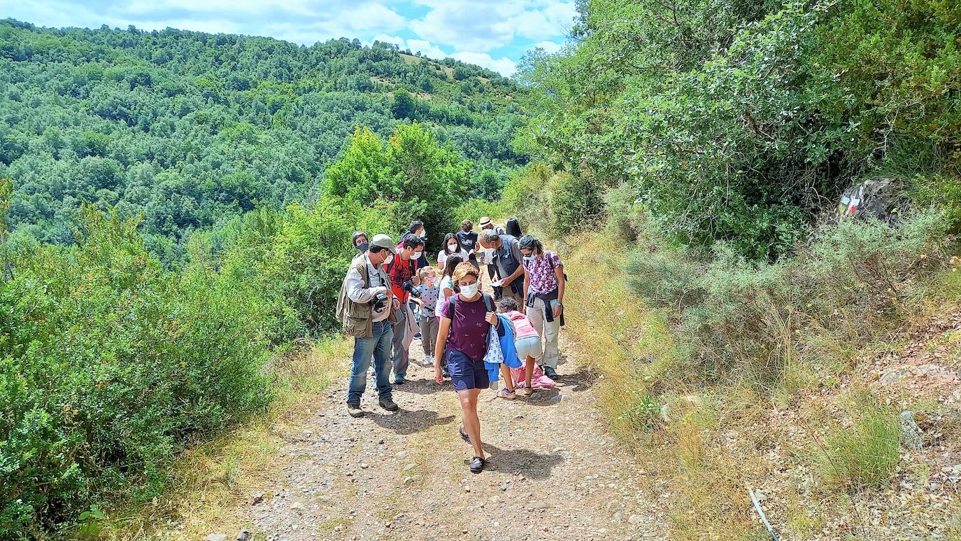 La Asociación Benéfico Cultural de Nieva de Cameros y la Asociación por el Medio Ambiente Rural en La Rioja han celebrado dos jornadas con el título 'Conociendo las mariposas'. Primero se celebró una en la aldea Montemediano, donde se lograron identificar fácilmente diecinueve especies el pasado 18 de julio, y después, el domingo 1 de agosto, se catalogaron una veintena de mariposas en Nieva, algunas tan singulares como la tigre.