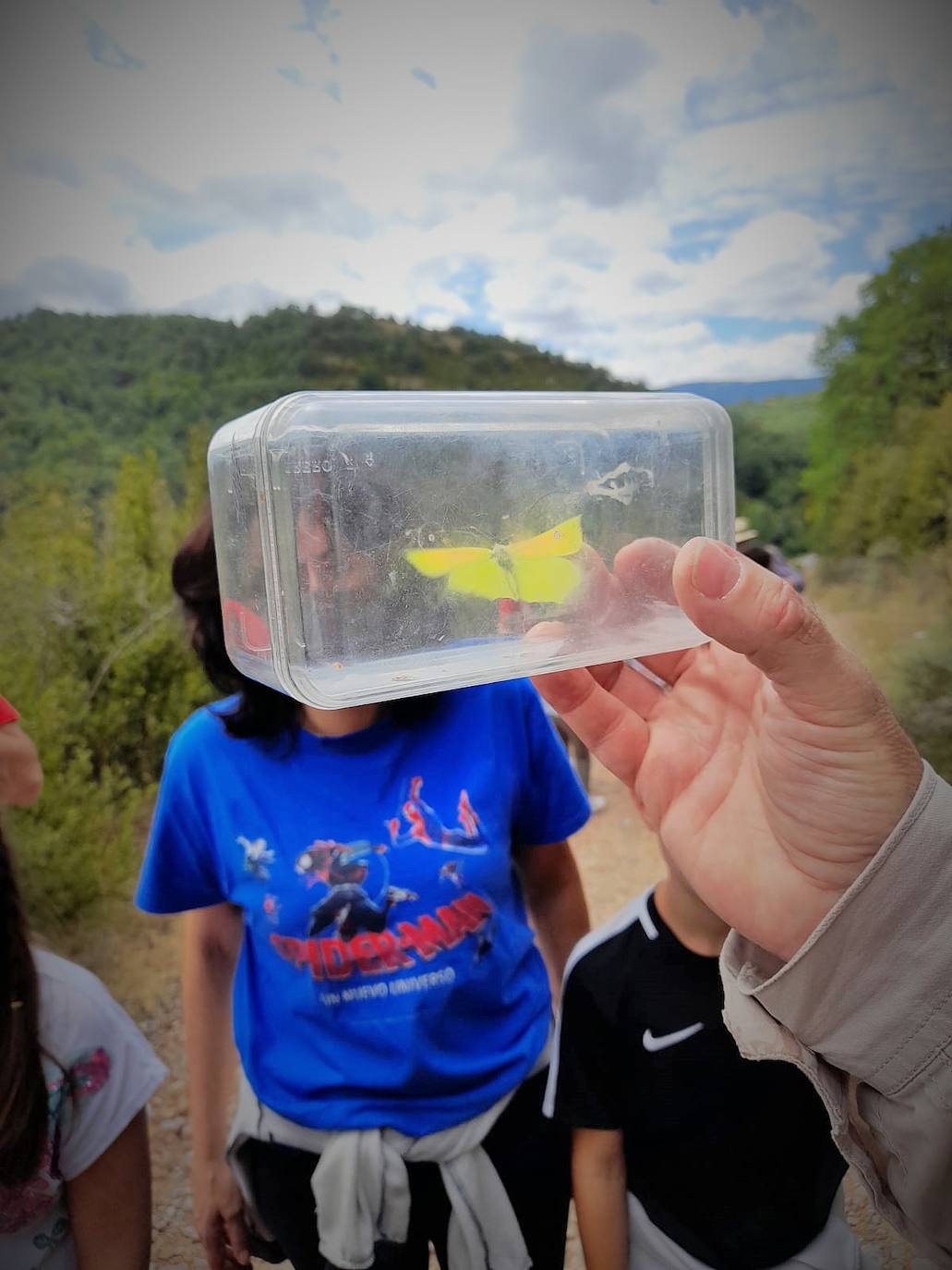 La Asociación Benéfico Cultural de Nieva de Cameros y la Asociación por el Medio Ambiente Rural en La Rioja han celebrado dos jornadas con el título 'Conociendo las mariposas'. Primero se celebró una en la aldea Montemediano, donde se lograron identificar fácilmente diecinueve especies el pasado 18 de julio, y después, el domingo 1 de agosto, se catalogaron una veintena de mariposas en Nieva, algunas tan singulares como la tigre.