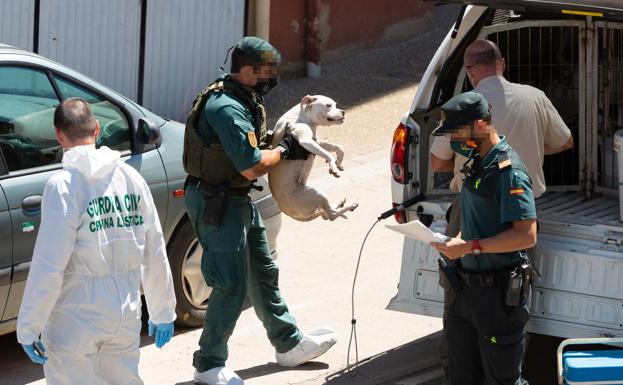 El detenido por la desaparición del joven del Entrena declarará el jueves ante el juez