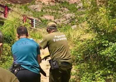 Imagen secundaria 1 - La Guardia Civil auxilia a un buitre negro en la N-111, en Viguera