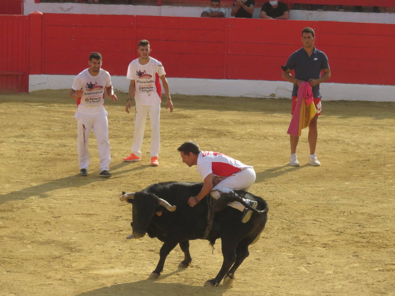 Los alfareños disfrutaron de sus fiestas patronales.