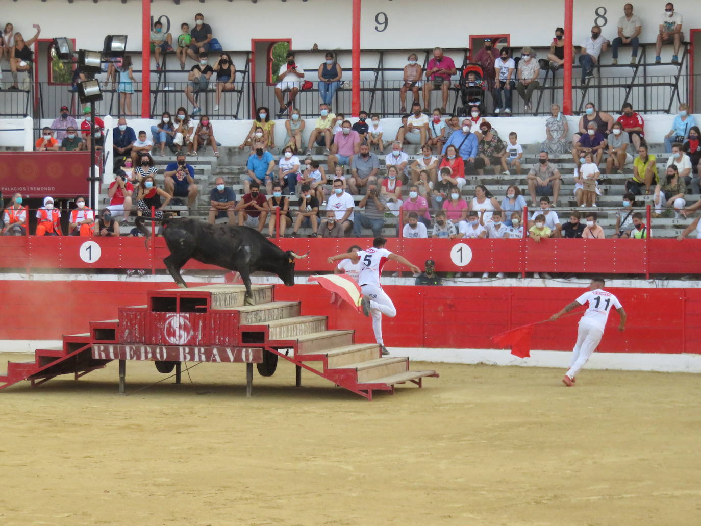 Fotos: La exhibición de bravura de las reses de Arriazu en la plaza de toros de Alfaro