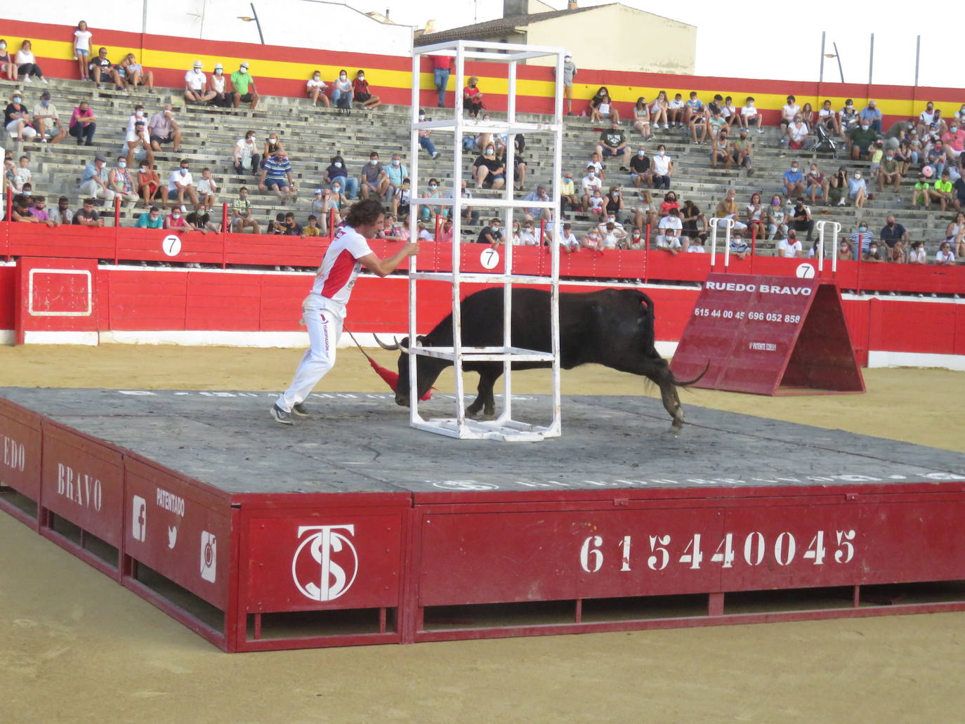 Fotos: La exhibición de bravura de las reses de Arriazu en la plaza de toros de Alfaro