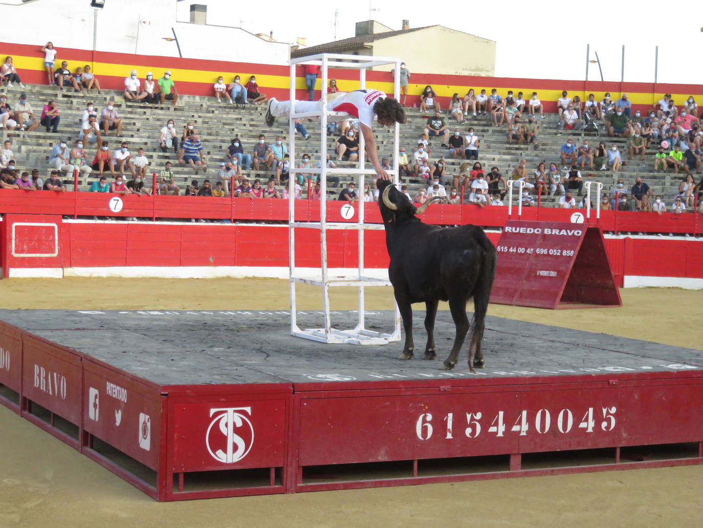 Fotos: La exhibición de bravura de las reses de Arriazu en la plaza de toros de Alfaro