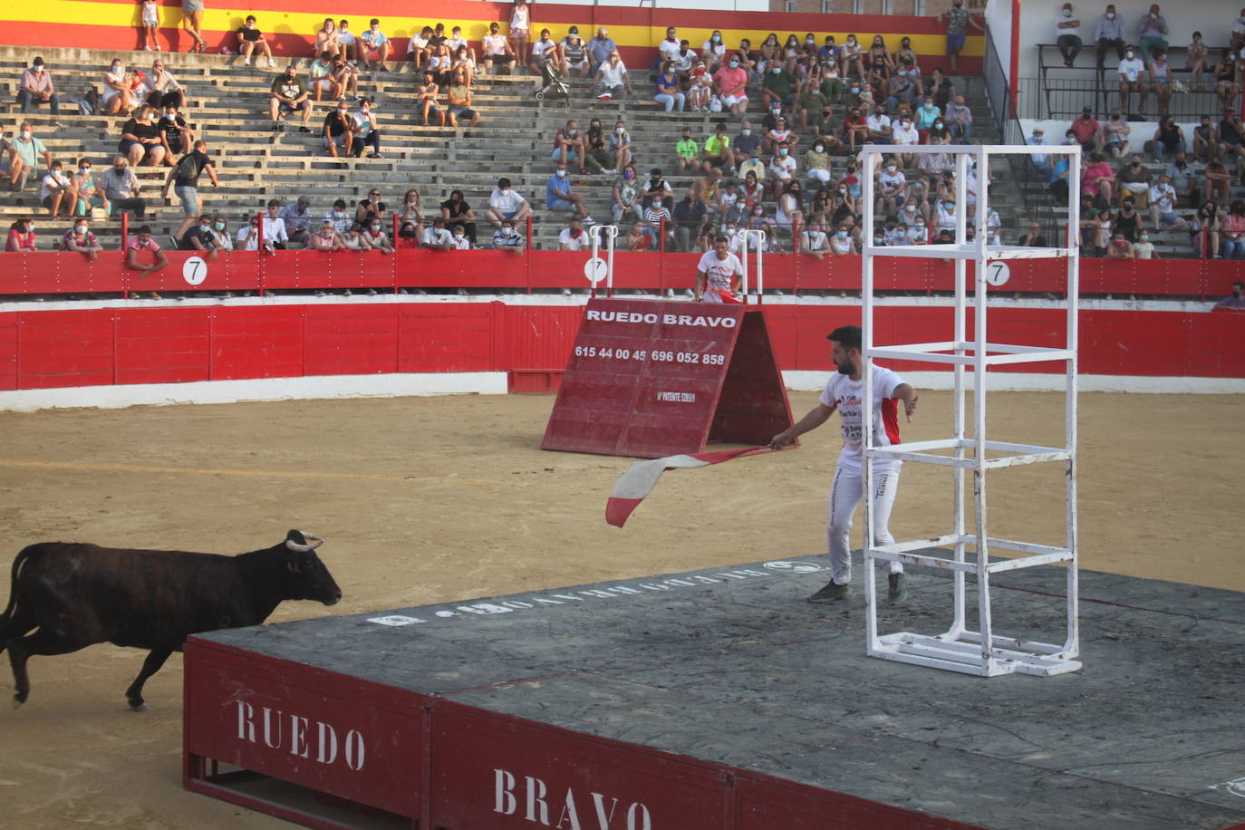 Fotos: La exhibición de bravura de las reses de Arriazu en la plaza de toros de Alfaro