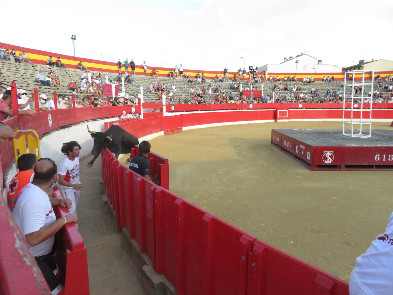 Fotos: La exhibición de bravura de las reses de Arriazu en la plaza de toros de Alfaro