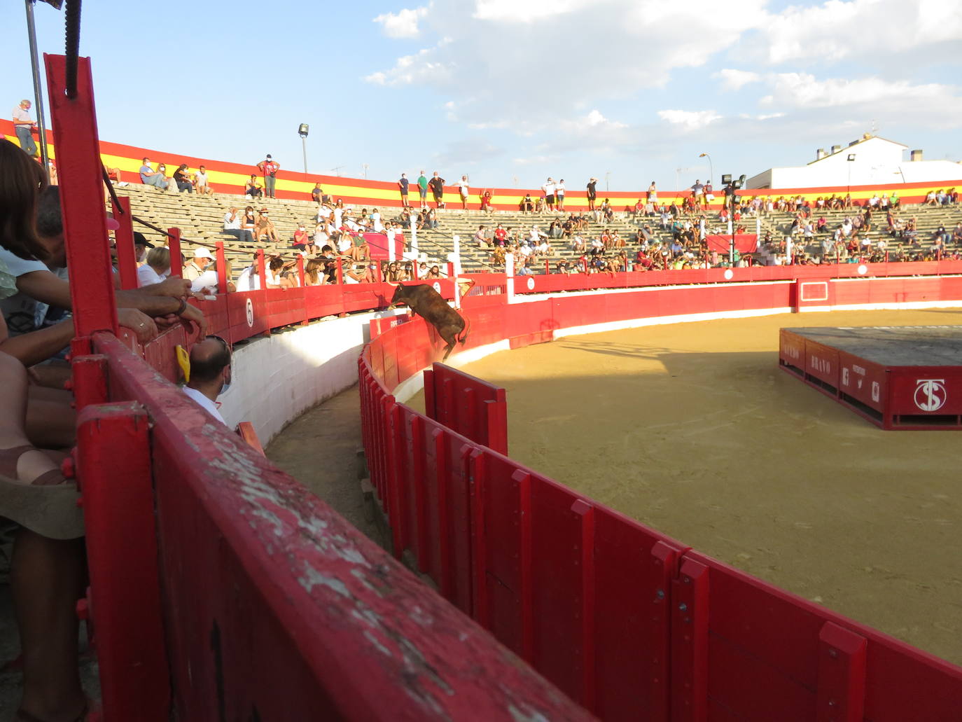 Fotos: La exhibición de bravura de las reses de Arriazu en la plaza de toros de Alfaro