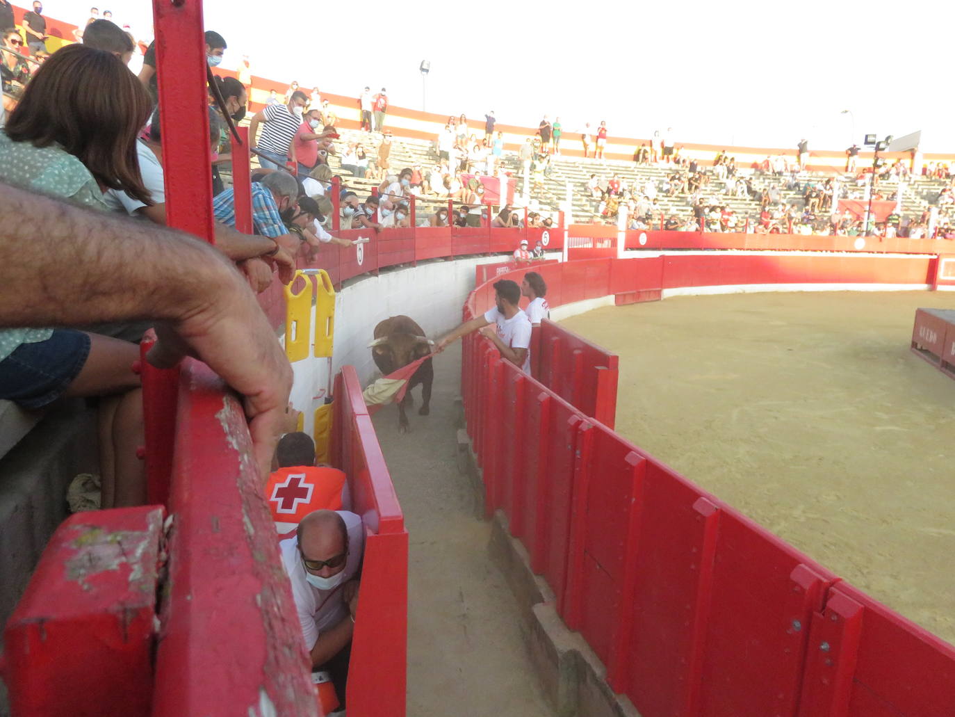 Fotos: La exhibición de bravura de las reses de Arriazu en la plaza de toros de Alfaro