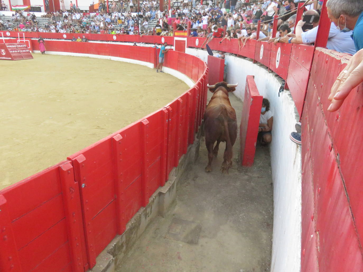 Fotos: La exhibición de bravura de las reses de Arriazu en la plaza de toros de Alfaro