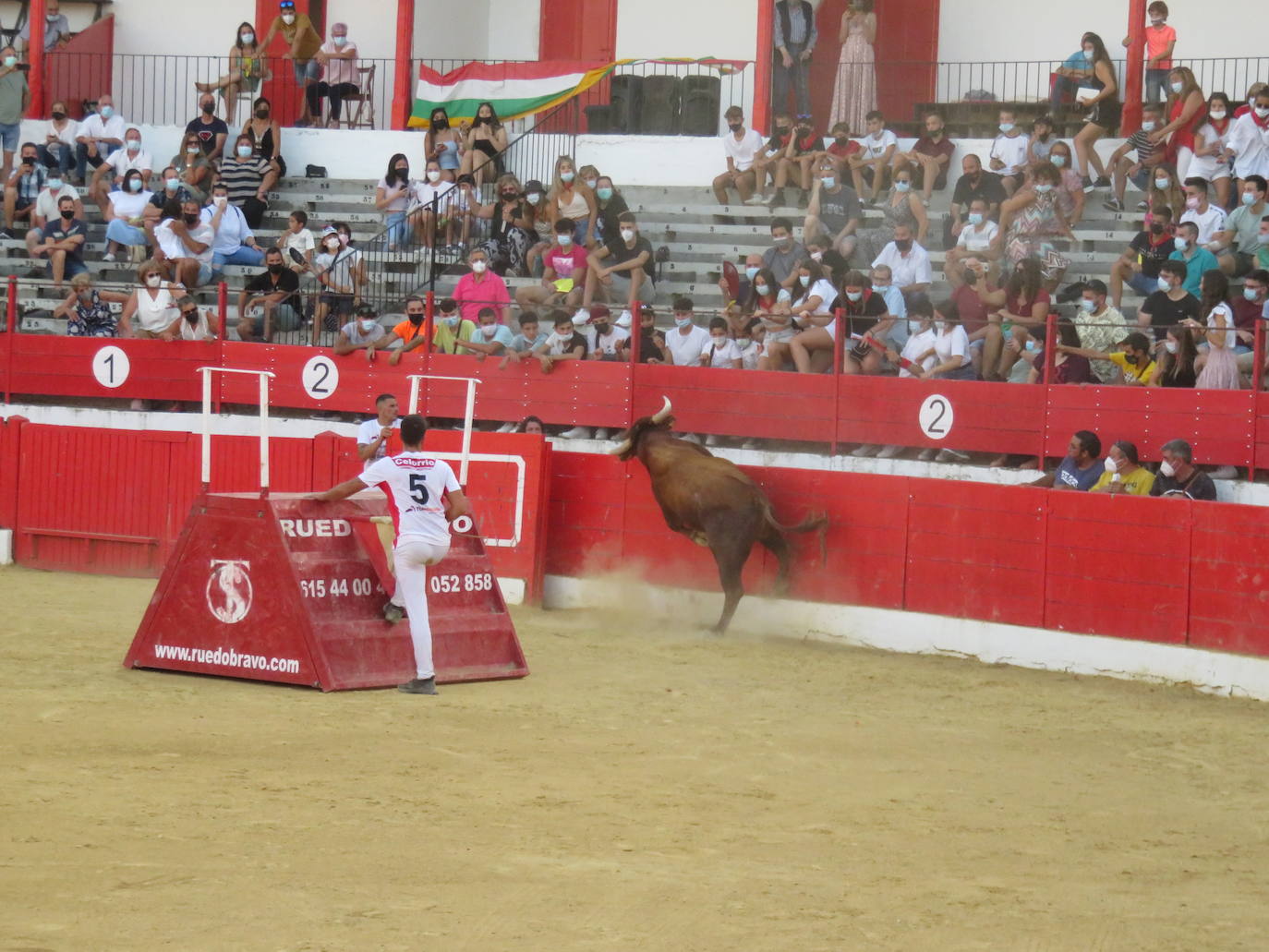 Fotos: La exhibición de bravura de las reses de Arriazu en la plaza de toros de Alfaro