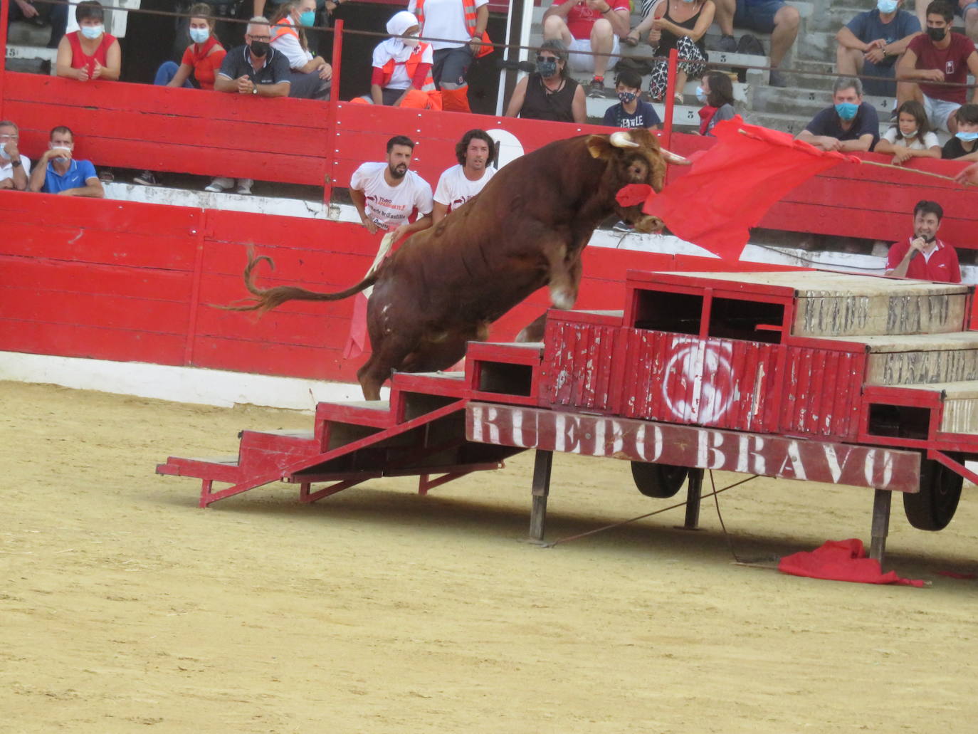 Fotos: La exhibición de bravura de las reses de Arriazu en la plaza de toros de Alfaro