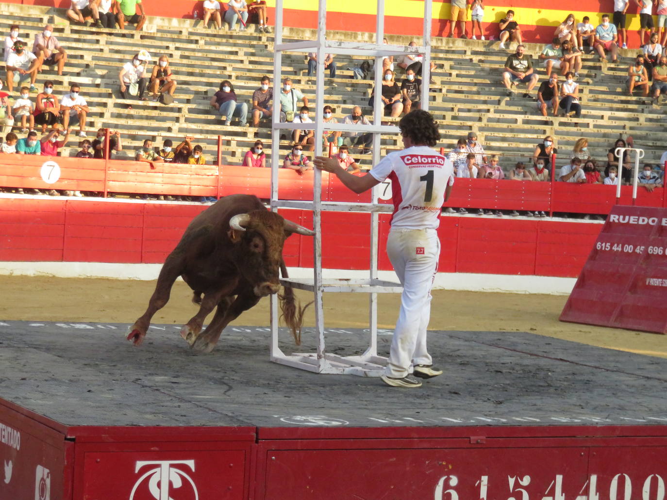 Fotos: La exhibición de bravura de las reses de Arriazu en la plaza de toros de Alfaro