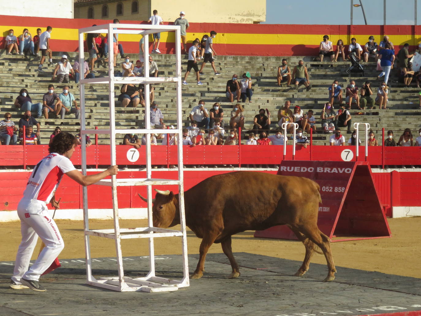 Fotos: La exhibición de bravura de las reses de Arriazu en la plaza de toros de Alfaro