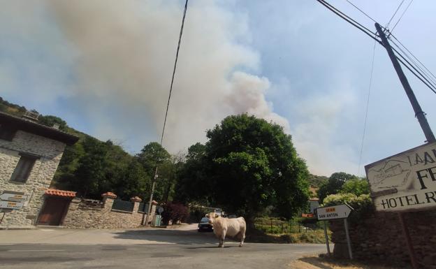 La columna de humo, desde Azárrulla. 