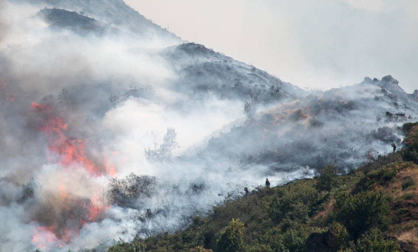 El fuego se ha originado en dos focos a las 13.30 horas de este sábado. 