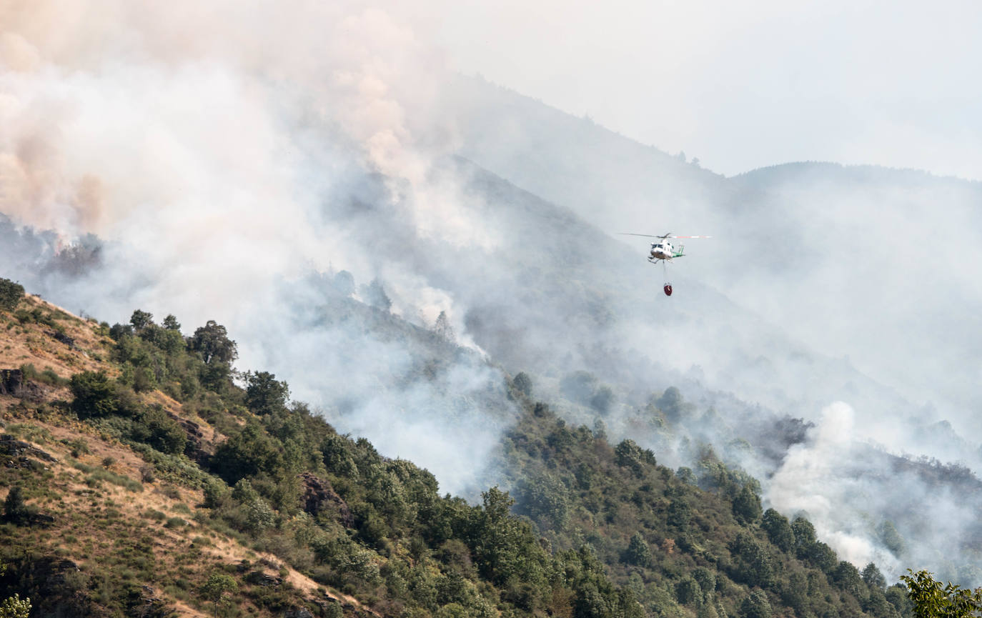 El fuego se ha originado en dos focos a las 13.30 horas de este sábado. 