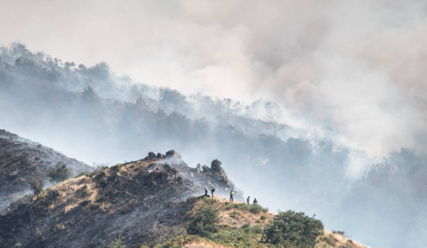 El fuego se ha originado en dos focos a las 13.30 horas de este sábado. 