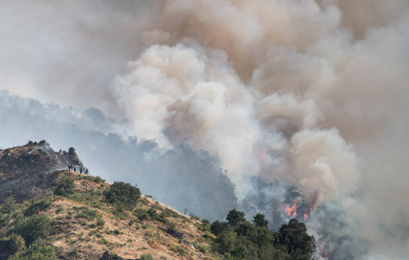 El fuego se ha originado en dos focos a las 13.30 horas de este sábado. 