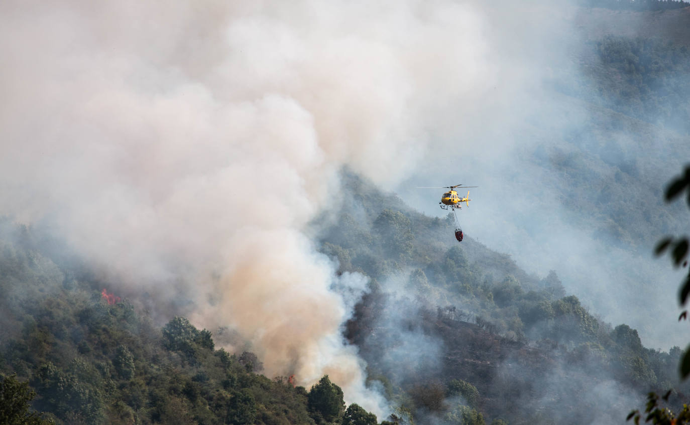 El fuego se ha originado en dos focos a las 13.30 horas de este sábado. 