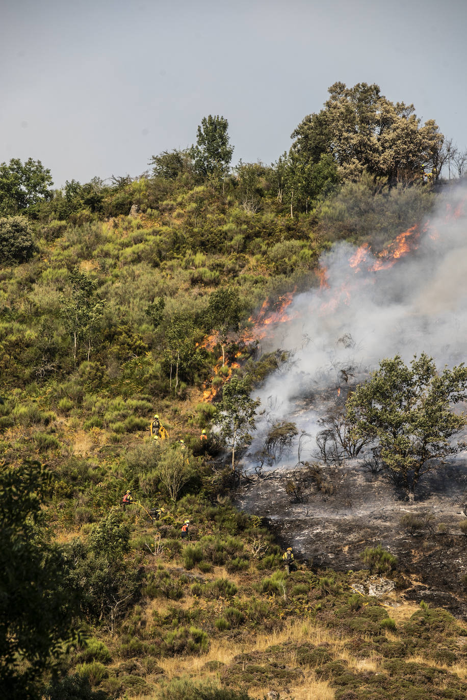 Las labores de extinción del incendio forestal de Ezcaray continuarán durante toda la noche del sábado al domingo y contarán con el apoyo de la UME