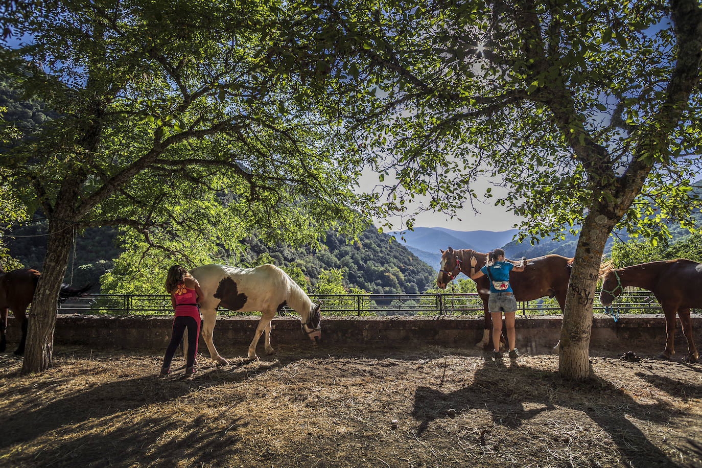 Fotos: Un tesoro por descubrir a lomos de un caballo