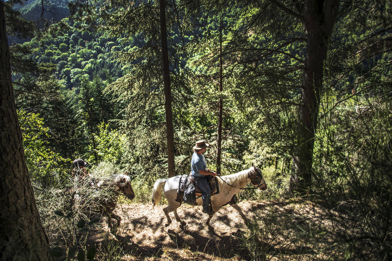 Fotos: Un tesoro por descubrir a lomos de un caballo