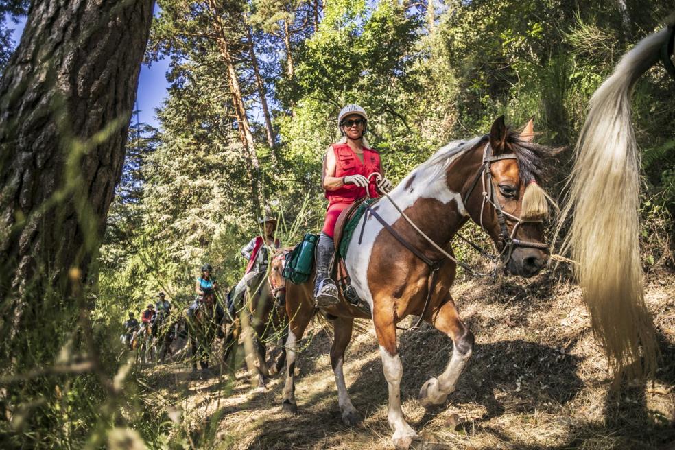 A caballo por las sendas de la sierra de la Demanda. 