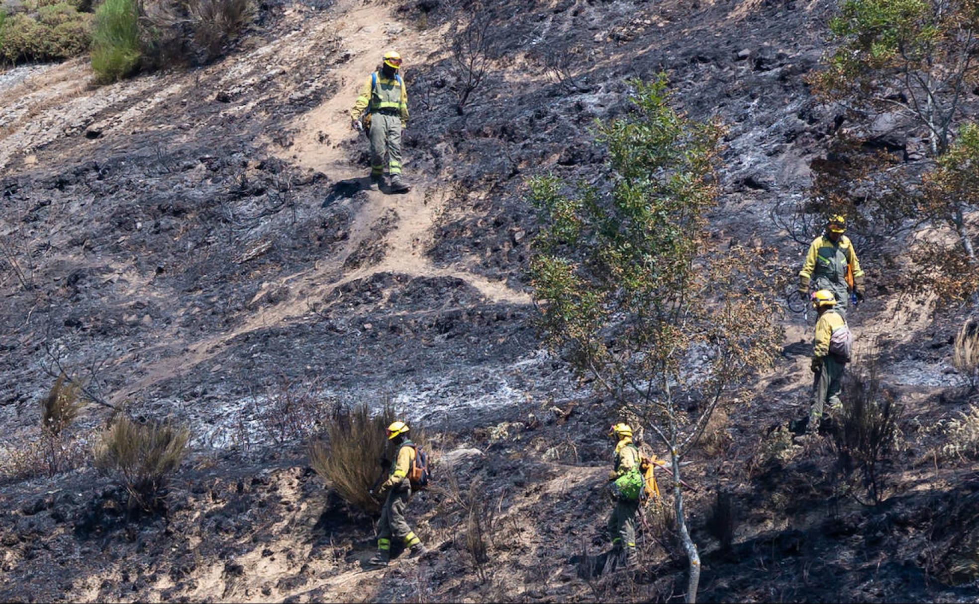 La naturaleza empieza de cero en Ezcaray