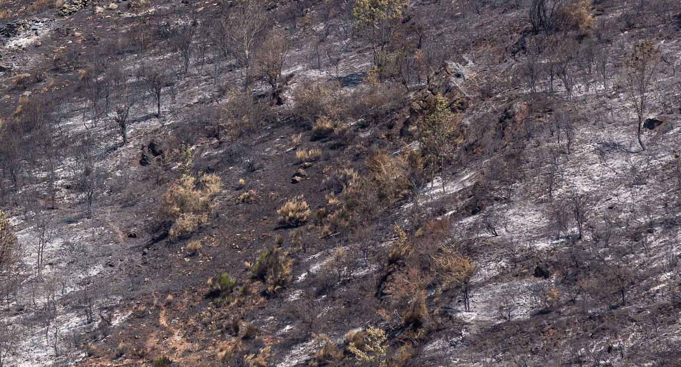 El incendio que se originó el sábado en Ezcaray ha sido declarado extinguido, aunque se mantiene la vigilancia para evitar que se reavive