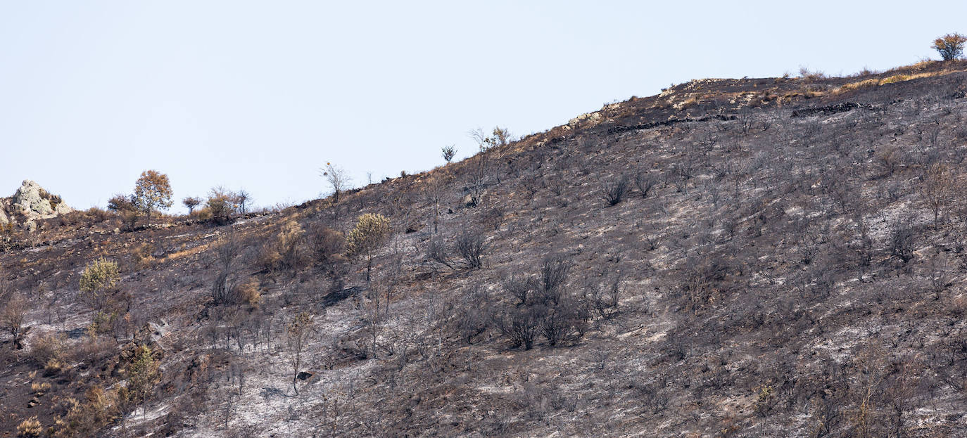 El incendio que se originó el sábado en Ezcaray ha sido declarado extinguido, aunque se mantiene la vigilancia para evitar que se reavive