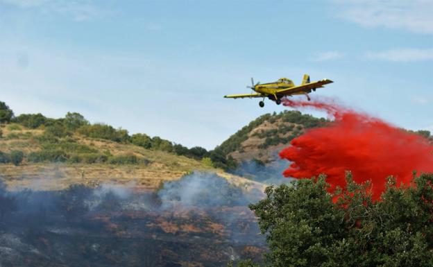 Medios aéreos han participado en los trabajos de extinción del incendio. 