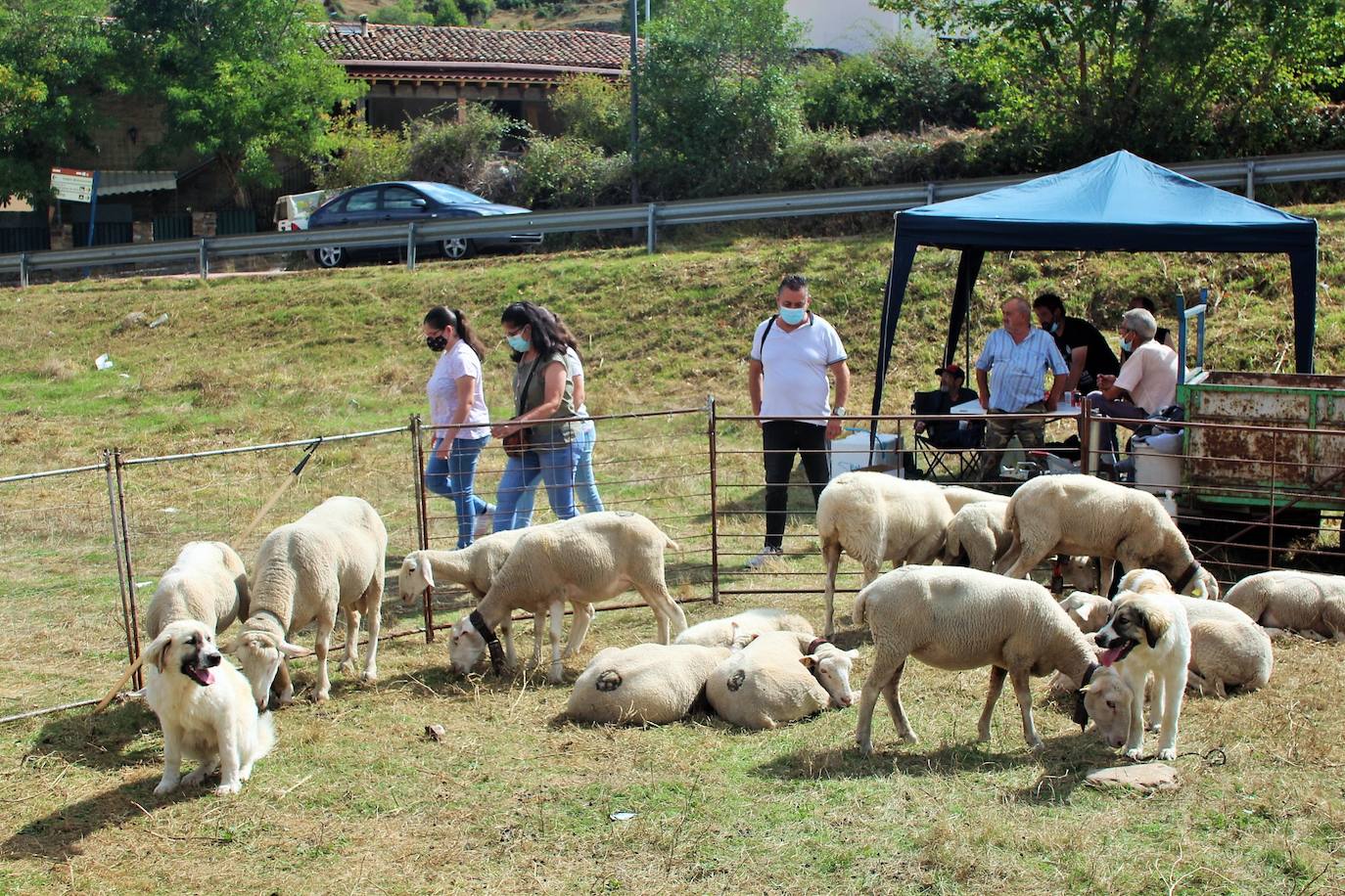 Fotos: Las imágenes de la feria ganadera de Villoslada