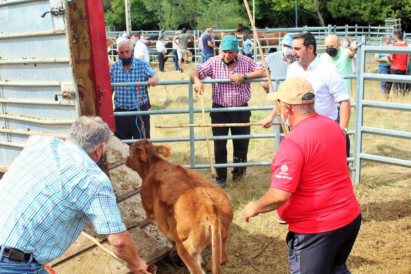 Fotos: Las imágenes de la feria ganadera de Villoslada