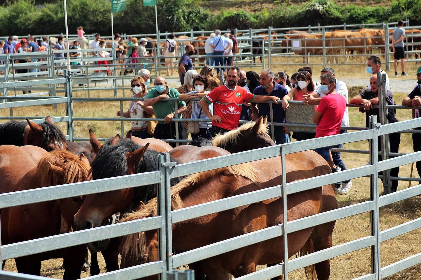 Fotos: Las imágenes de la feria ganadera de Villoslada