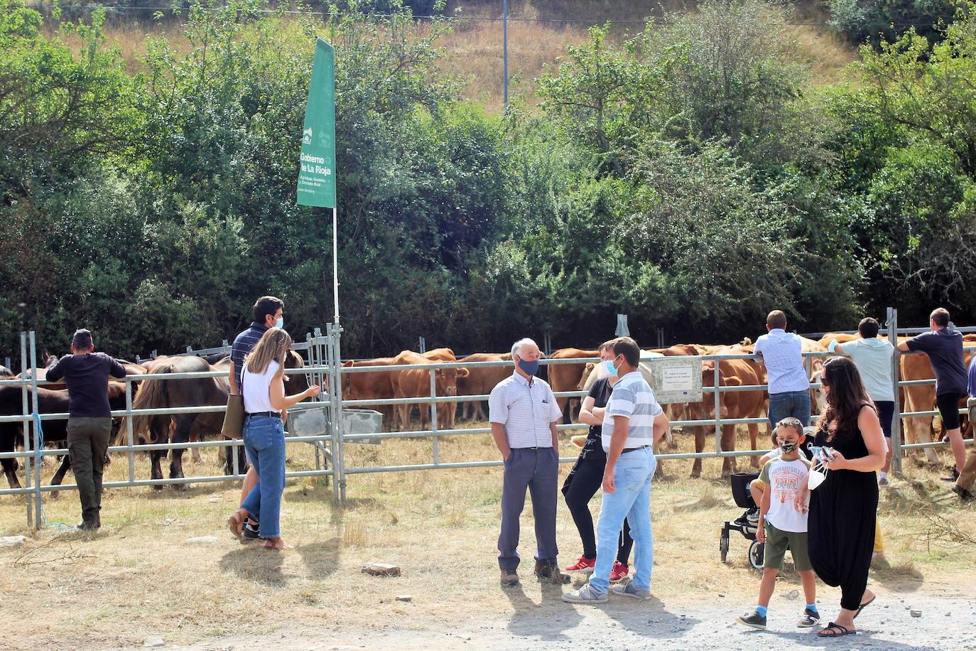 Fotos: Las imágenes de la feria ganadera de Villoslada