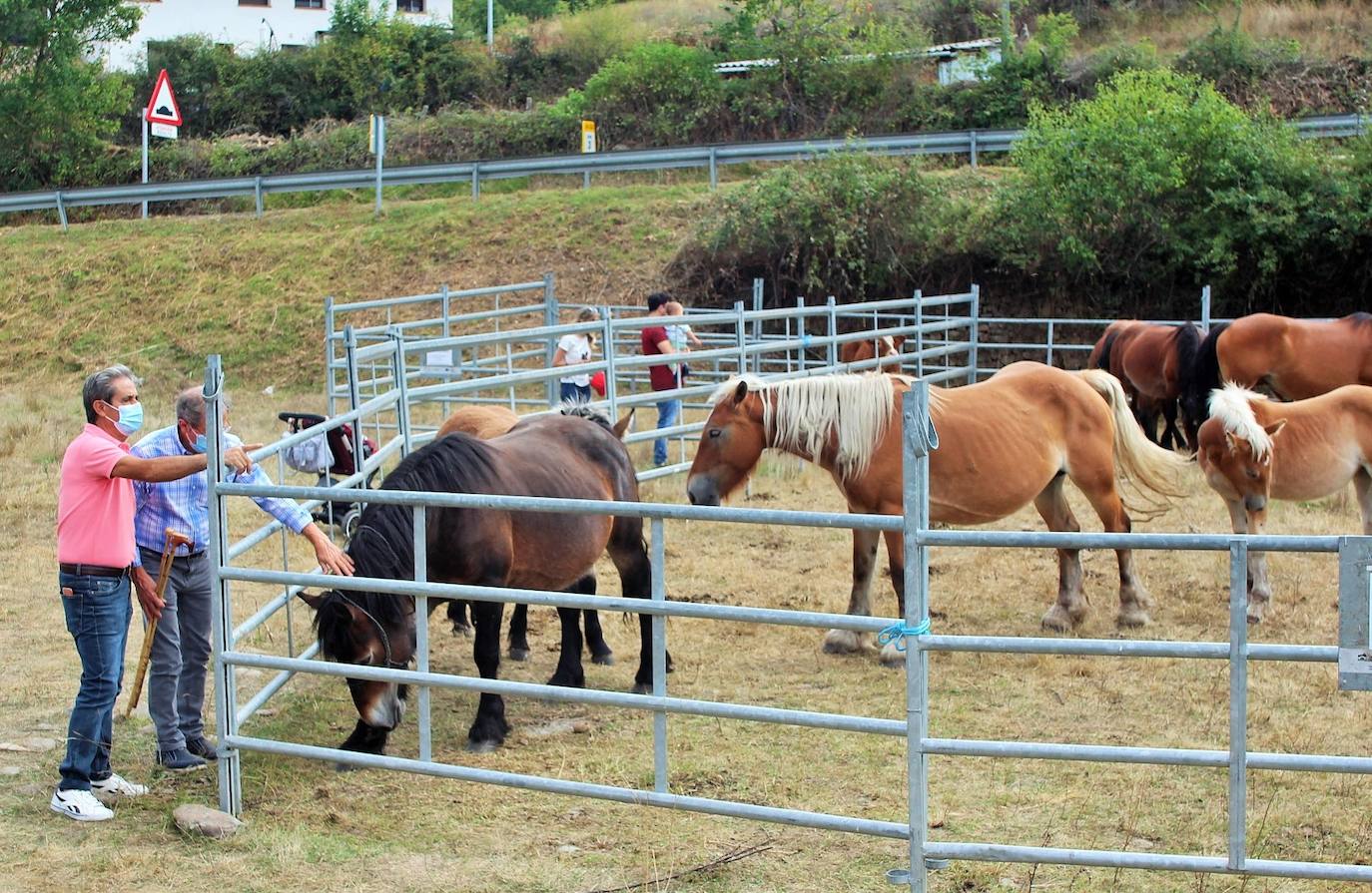 Fotos: Las imágenes de la feria ganadera de Villoslada