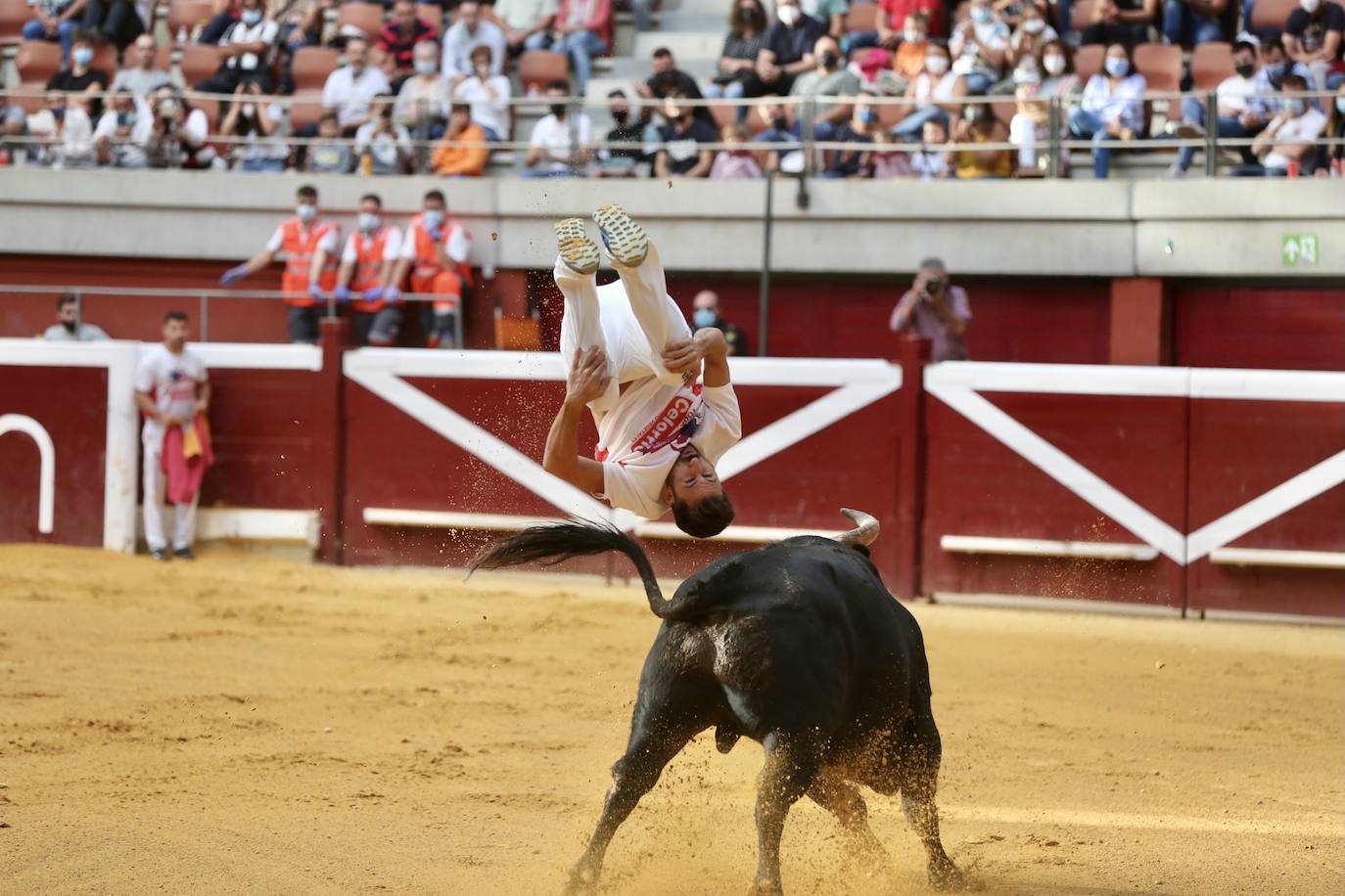 Los especialistas más prestigiosos de esta disciplina se han dado cita este sábado en La Ribera