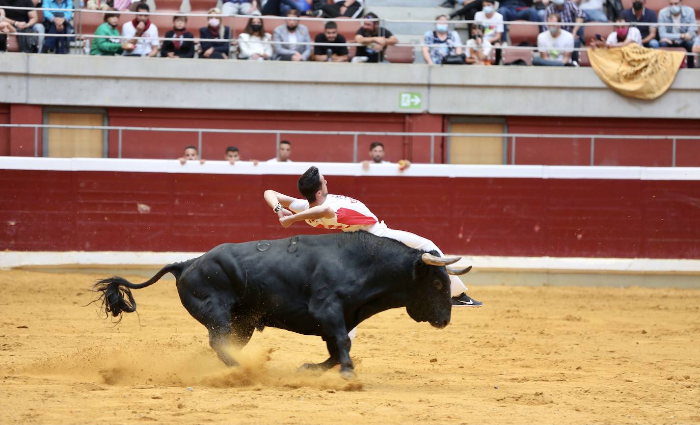 Los especialistas más prestigiosos de esta disciplina se han dado cita este sábado en La Ribera