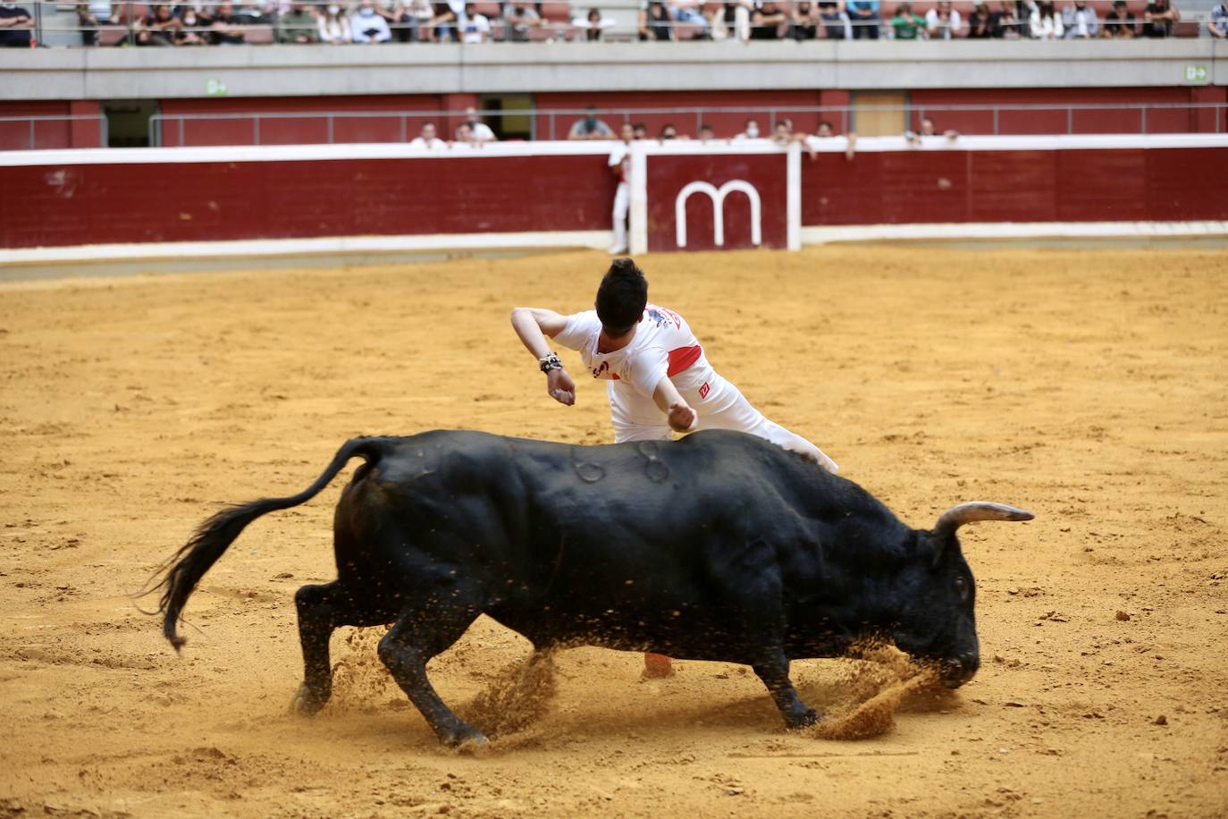 Los especialistas más prestigiosos de esta disciplina se han dado cita este sábado en La Ribera