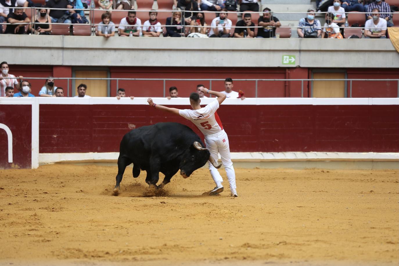 Los especialistas más prestigiosos de esta disciplina se han dado cita este sábado en La Ribera