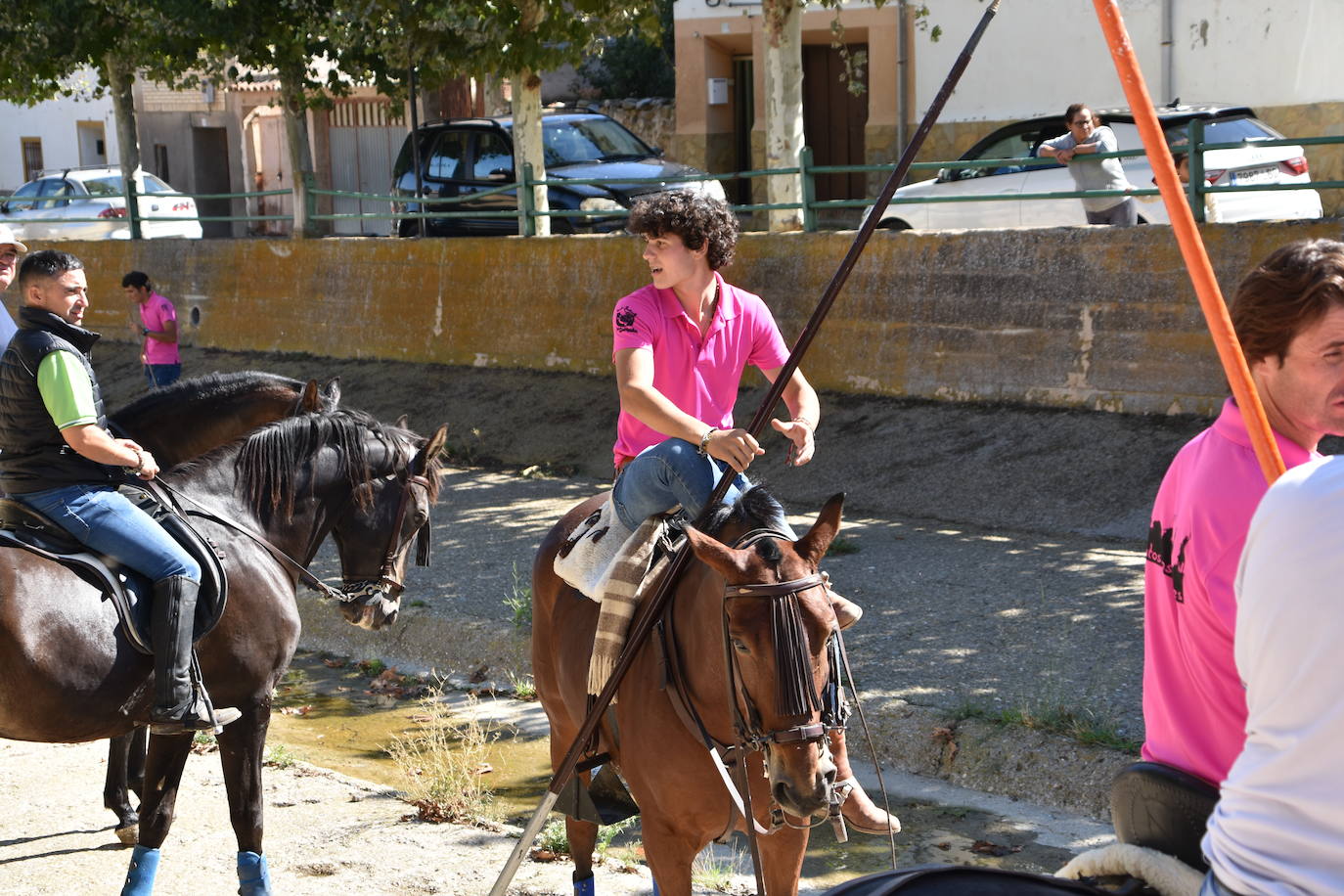 Fotos: La trashumancia se celebra en Rincón de Olivedo
