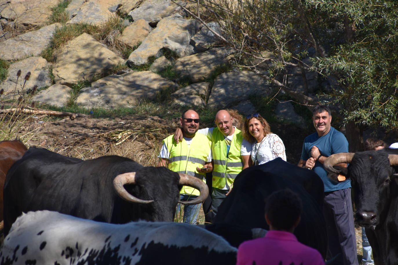 Fotos: La trashumancia se celebra en Rincón de Olivedo